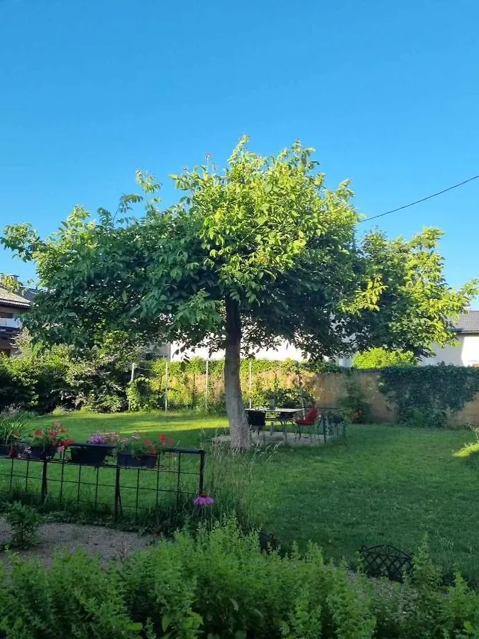 Campingplatz Camping Under The Walnut In Your Own Tent On A Shared Lot And Shared Bathroom Laibach
