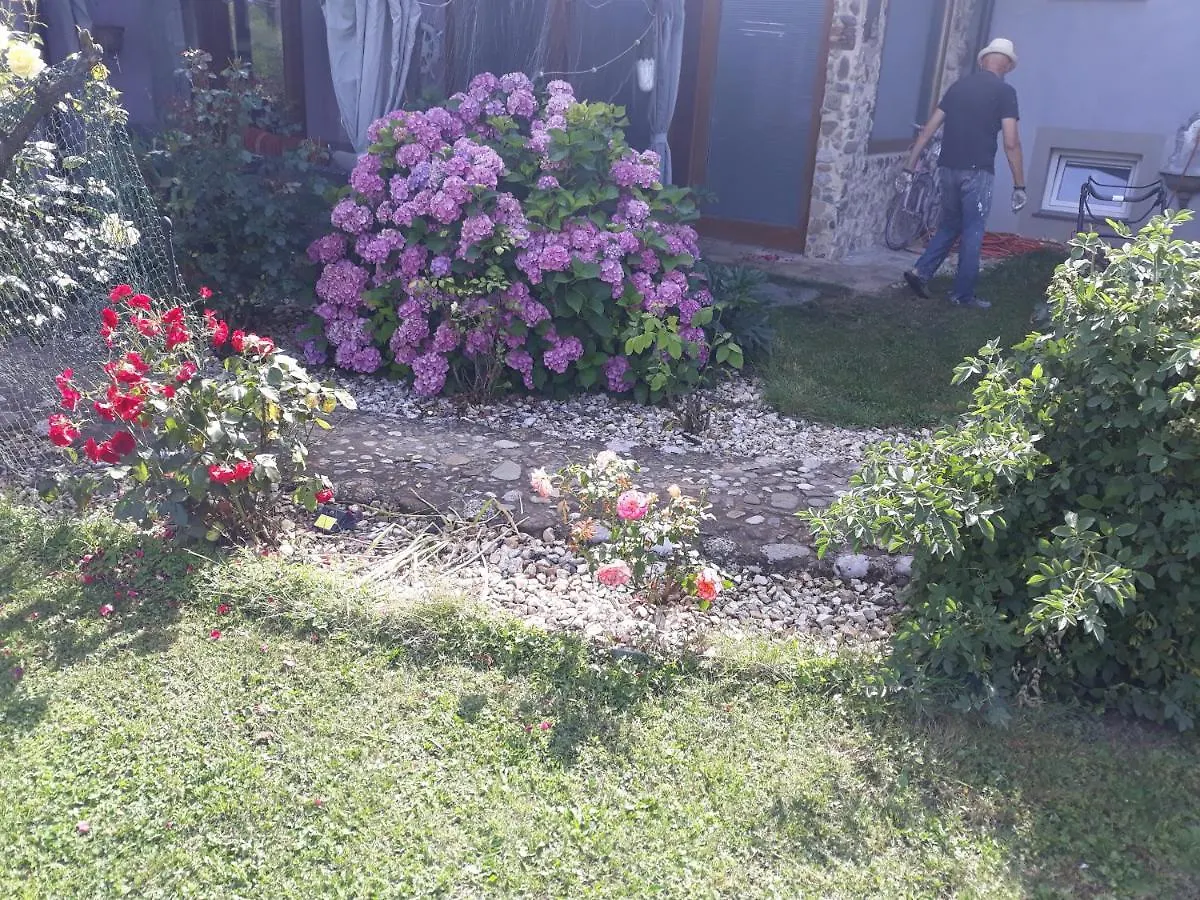 Camping Under The Walnut In Your Own Tent On A Shared Lot And Shared Bathroom Laibach Campingplatz