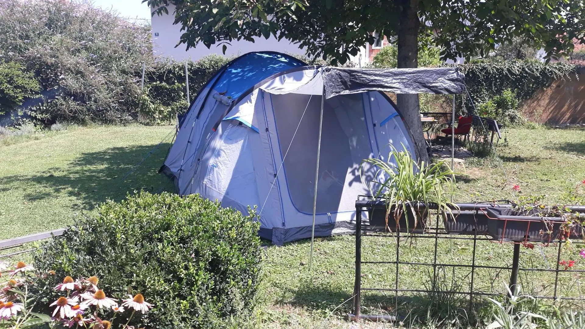 Camping Under The Walnut In Your Own Tent On A Shared Lot And Shared Bathroom Laibach